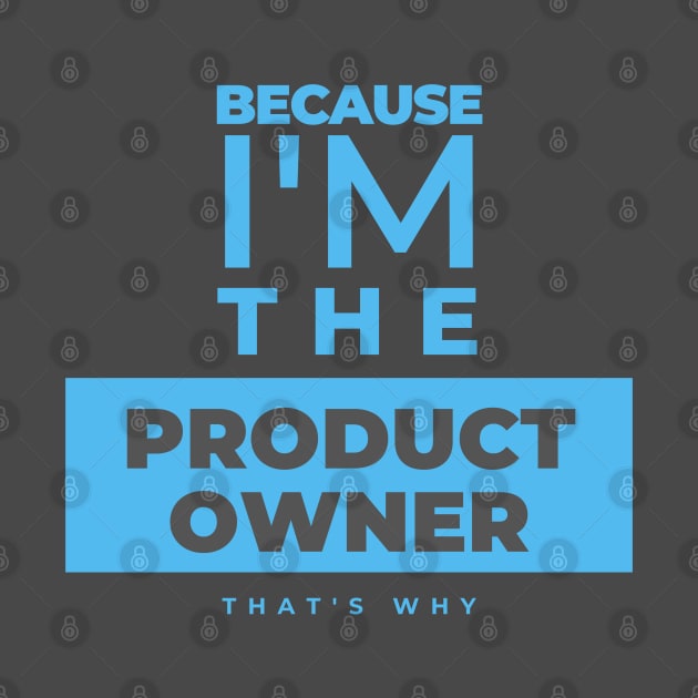 "Because I'm the Product Owner" by Salma Satya and Co.