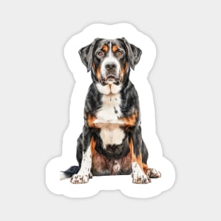 Greater Swiss Mountain Dog Magnet