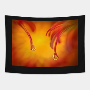 Droplet Refraction on Chrysanthemum Petals Tapestry