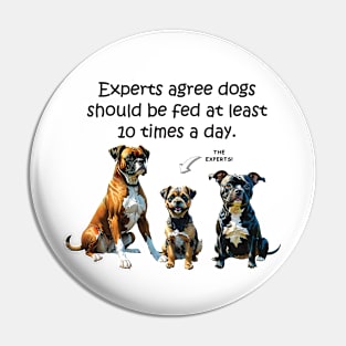 Experts agree dogs should be fed at least 10 times a day - funny watercolour dog design Pin