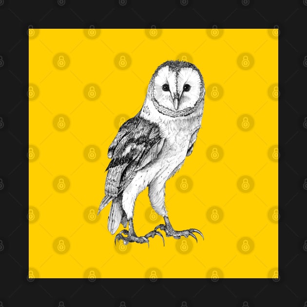 Barn Owl - Drawing In Black Pen On Vintage Yellow by seanfleming