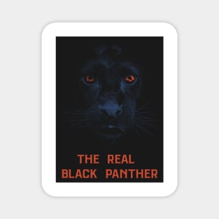 The Real Black Panther Graphic Art RED Magnet