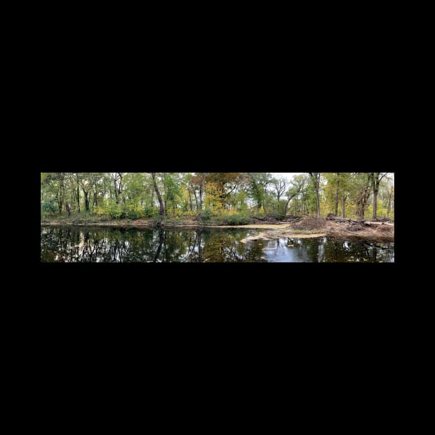 Fall Foliage Panoramic Creek - Indian Creek in Overland Park by Zen Goat 