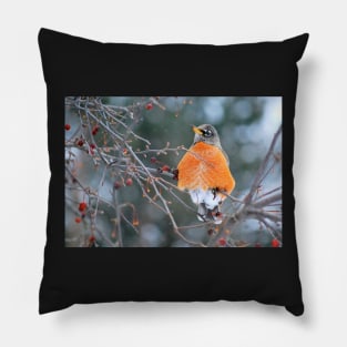 Robin in Winter #3 Pillow