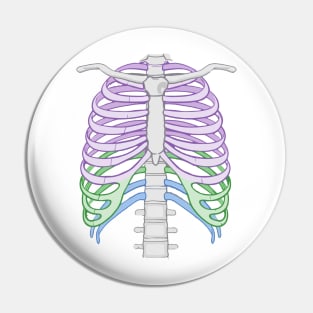 Colourful Ribcage Pin