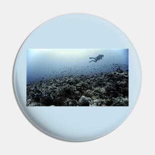 THE CORAL NICHE Pin