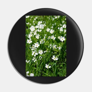 Wild Anemones (vert) Pin