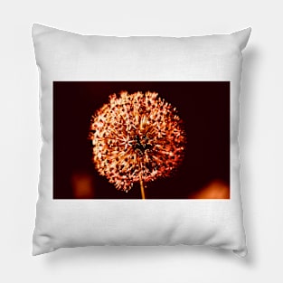 Close-up of  Allium Flower 3 Pillow