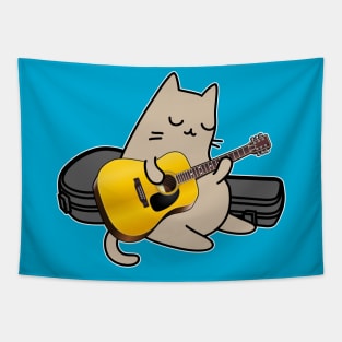 Street Cat performer playing acoustic guitar Tapestry