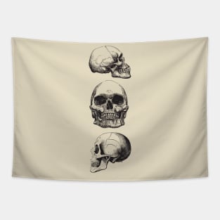 Three skulls Tapestry