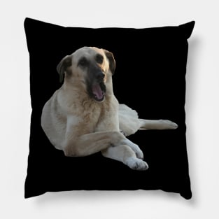 Kangal Dog Yawning Vector Cut Out Pillow