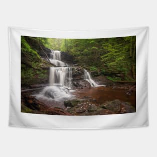 Tuscarora Falls Tapestry