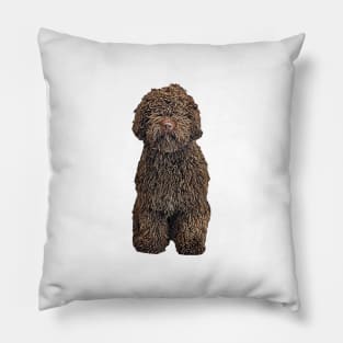 Spanish Water Dog Pillow