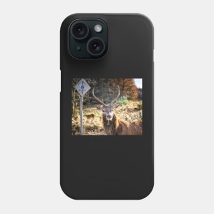 Stag at the Passing Place Phone Case