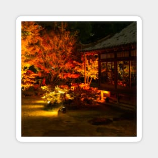 Photography - Japanse fall at night Magnet