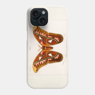 Attacus Atlas Moth (1892) Phone Case