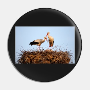 Storks nesting Pin