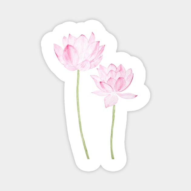 two pink lotus flowers watercolor Magnet by colorandcolor