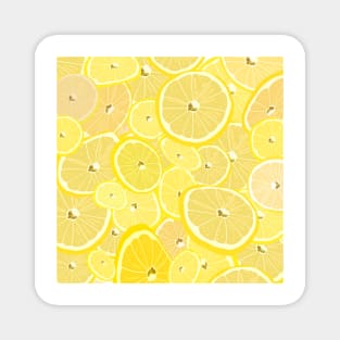 Lemon Slices Magnet