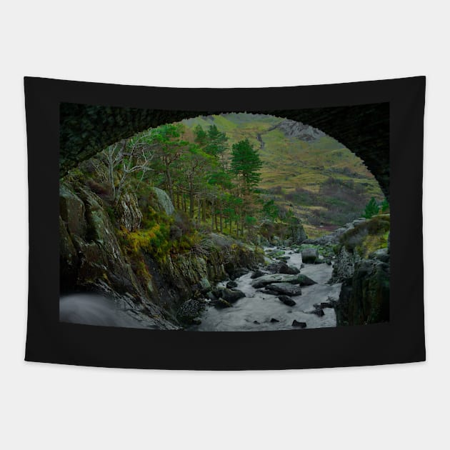 DAN BONT OGWEN Tapestry by dumbodancer