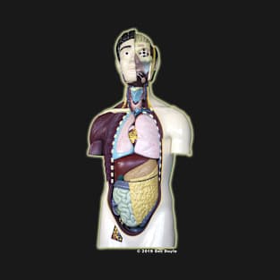 Mr. Guts: Anatomical Model T-Shirt