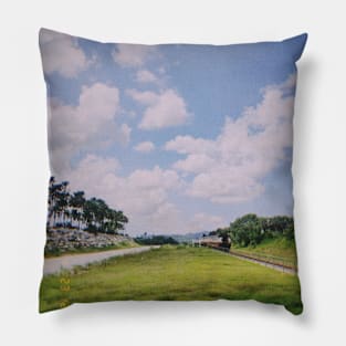 PERFECT LANDSCAPE Pillow