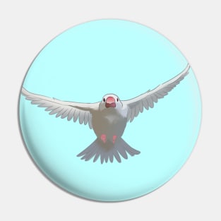 White Java sparrow Pin