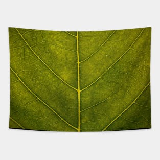 Leaf - HD Nature Tapestry