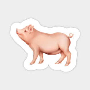 Pink Pig Strut Magnet