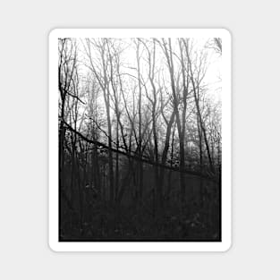 Black and white autumn Magnet