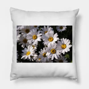 Large White Daisies Pillow