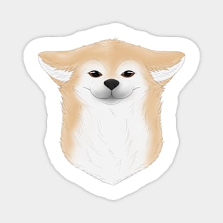 Shiba Akita dog head Magnet