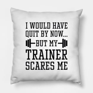 I Would Have Quit By Now Pillow