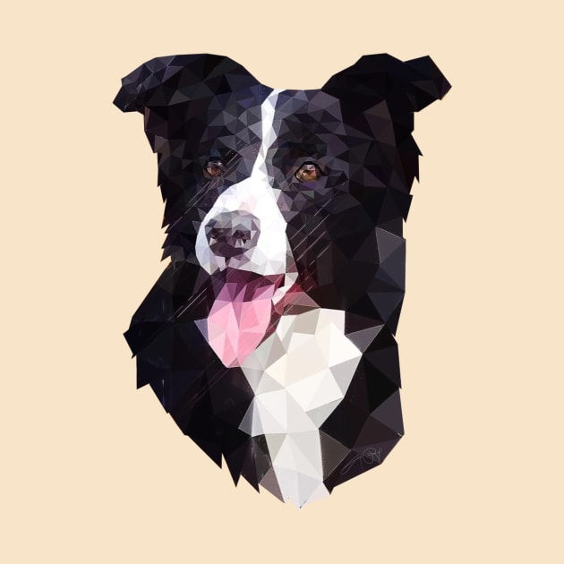 Border Collie (Low Poly) by lunaroveda