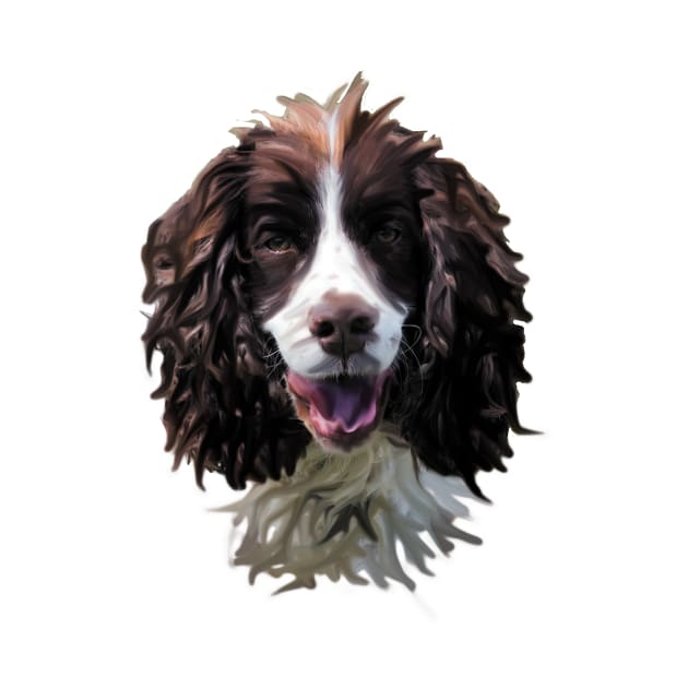 Springer Spaniel Dog by wizard023