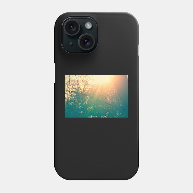 Radiates Light Phone Case by InspiraImage