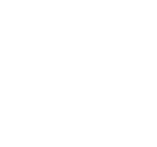 Engine Schematic Magnet