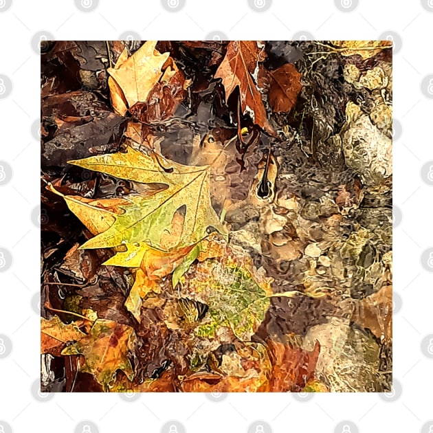 Fallen leaves floating in the river, 1, (Set of 3), fall, autumn, xmas, holiday, nature, forest, trees, winter, color, flowers, orange, art, botanical, leaves, leaf, floral, wet, rain, water, holidays, digital, spring, aqua, graphic-design, by PrintedDreams