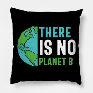 There Is No Planet B Pillow