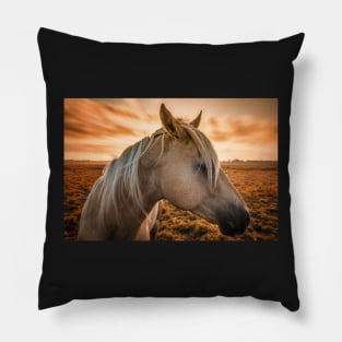 Horse Profile at Sunset Pillow