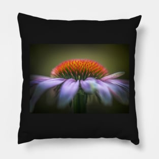 Echinacea flower close-up Pillow