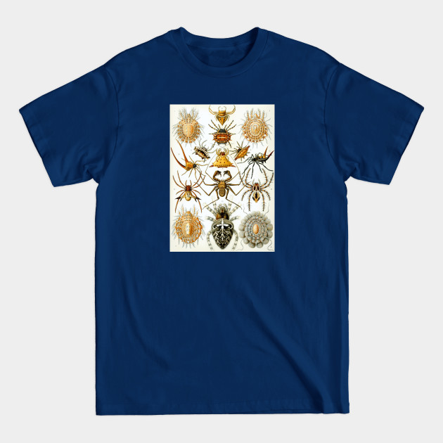 Discover Spiders Arachnology Lover Colorful Insects Entomologist Science Gift - Spiders - T-Shirt