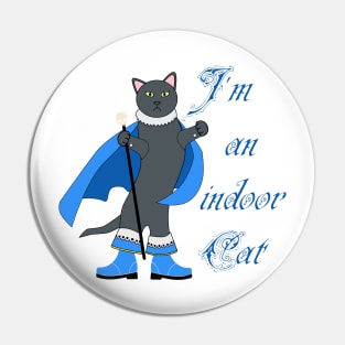 I'm an indoor cat Pin