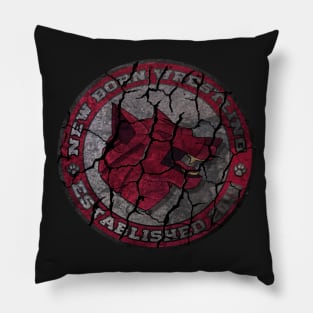 NBW First Official Shirt Pillow