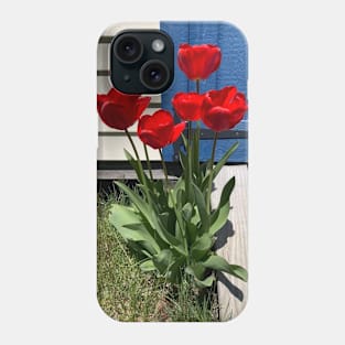 Red Tulips in front of a Blue Door Phone Case