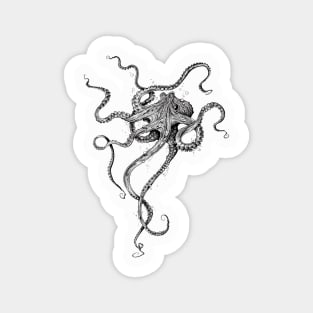 Octopus Magnet