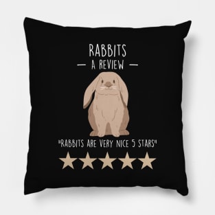 Rabbit Review Pillow