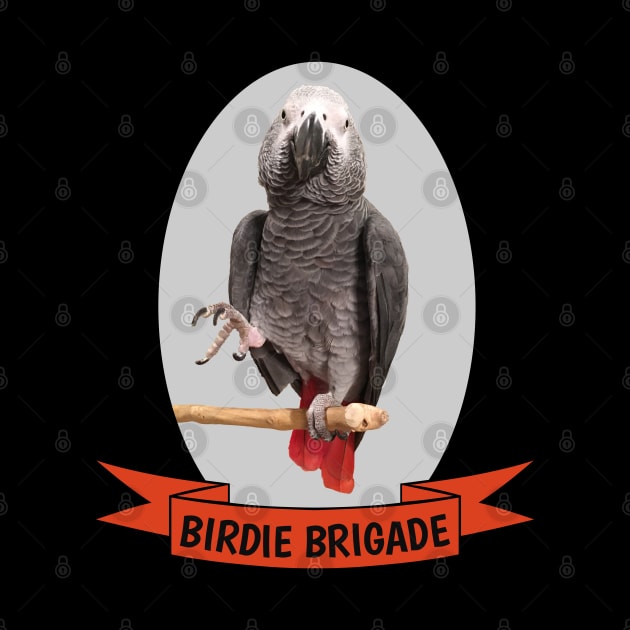 Birdie Brigade African Grey Parrot by Einstein Parrot