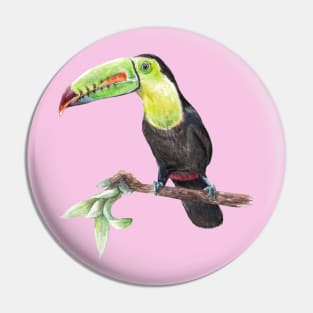 Watercolor Toucan Bird Pin