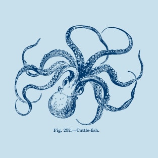 Fig. 252. Cuttle-Fish T-Shirt